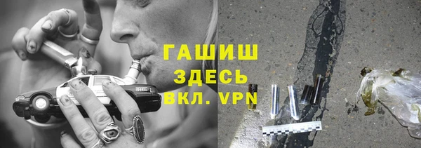 шишки Белокуриха