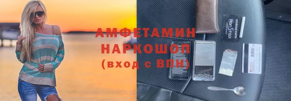 шишки Белокуриха