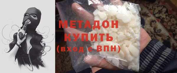 шишки Белокуриха