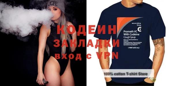 шишки Белокуриха