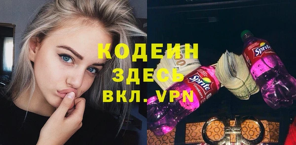 шишки Белокуриха