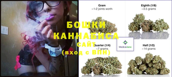шишки Белокуриха