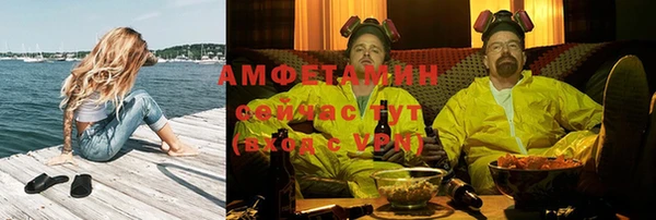 шишки Белокуриха