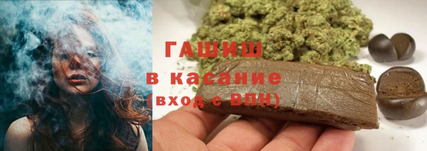 шишки Белокуриха