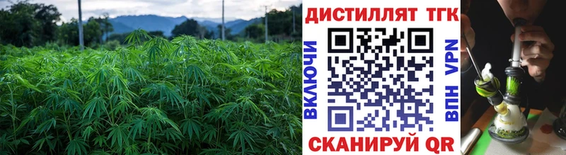 ТГК THC oil  Городовиковск 