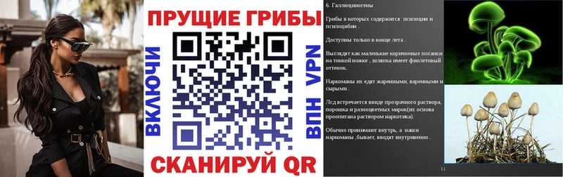 darknet состав  Городовиковск  Псилоцибиновые грибы MAGIC MUSHROOMS 